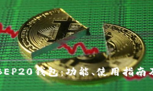 全面解析BEP20钱包：功能、使用指南及优势分析