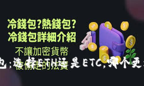 冰币钱包：选择ETH还是ETC，哪个更适合你？