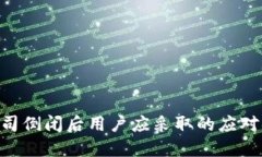 Tokenim公司倒闭后用户应采
