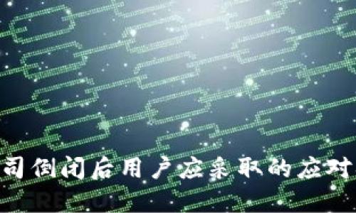 Tokenim公司倒闭后用户应采取的应对措施与建议