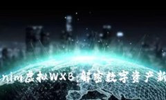 Tokenim虚拟WXB：解密数字资