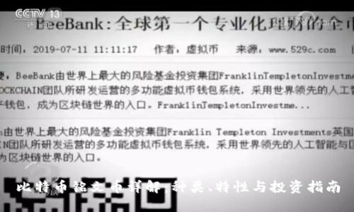 比特币铭文币详解：种类、特性与投资指南