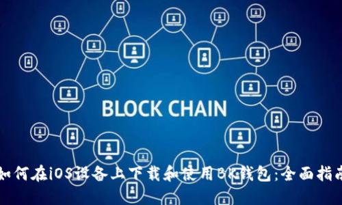 如何在iOS设备上下载和使用BK钱包：全面指南