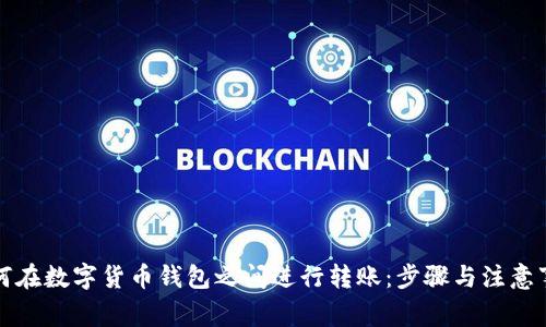 如何在数字货币钱包之间进行转账：步骤与注意事项
