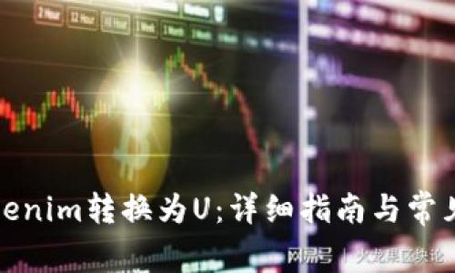 如何将Tokenim转换为U：详细指南与常见问题解答