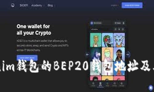 详解Tokenim钱包的BEP20钱包地址及其使用指南