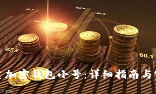 如何创建加密钱包小号：详细指南与实用技巧