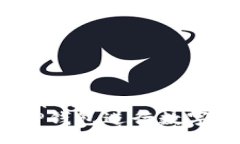 mypay/mypay如何使用TP钱包进