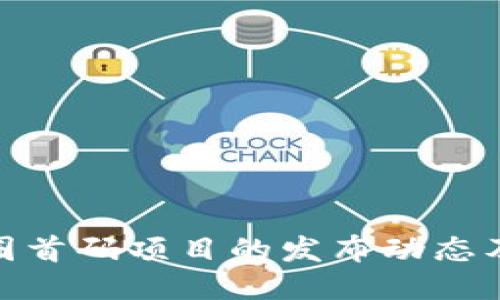 探索币圈首码项目的发布动态及其影响