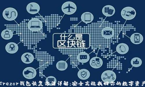 
Trezor钱包恢复方法详解：安全高效找回你的数字资产