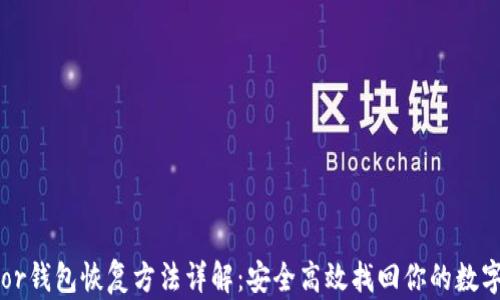
Trezor钱包恢复方法详解：安全高效找回你的数字资产