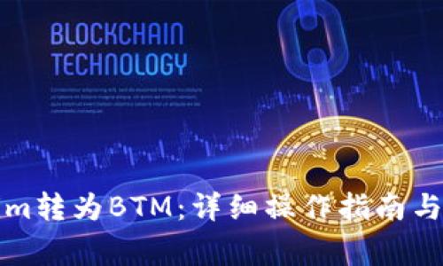 如何将Tokenim转为BTM：详细操作指南与常见问题解析