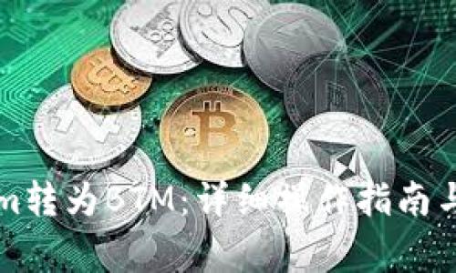 如何将Tokenim转为BTM：详细操作指南与常见问题解析