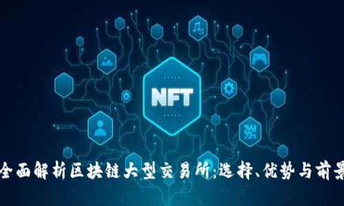 全面解析区块链大型交易所：选择、优势与前景