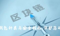 数字货币钱包种类与安全