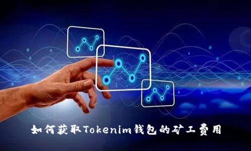 如何获取Tokenim钱包的矿工费用
