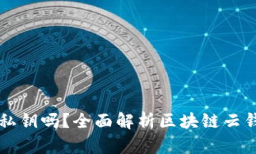 区块链云端钱包有私钥吗？全面解析区块链云钱包的安全性与隐私