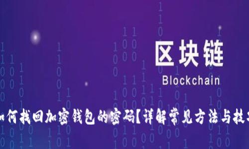 如何找回加密钱包的密码？详解常见方法与技巧