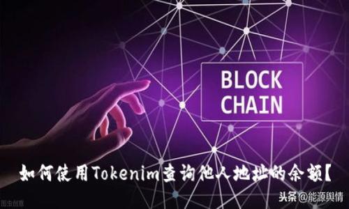 如何使用Tokenim查询他人地址的余额？