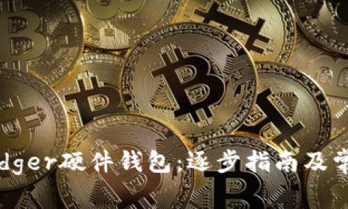 如何购买Ledger硬件钱包：逐步指南及常见问题解答