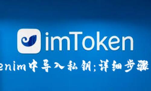 如何在Tokenim中导入私钥：详细步骤与注意事项