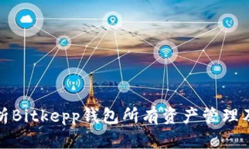 全面解析Bitkepp钱包所有资产管理及其优势