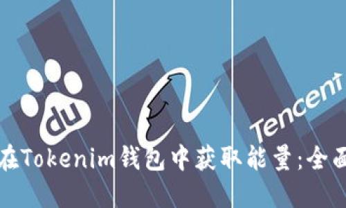 如何在Tokenim钱包中获取能量：全面指南