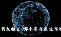 数字钱包推荐：哪个平台