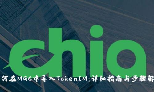 如何在MGC中导入TokenIM：详细指南与步骤解析
