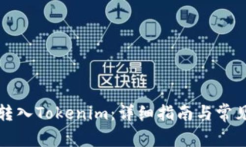 如何将币转入Tokenim：详细指南与常见问题解答