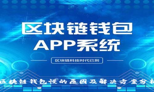 区块链钱包慢的原因及解决方案分析