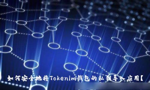 如何安全地将Tokenim钱包的私钥导入应用？