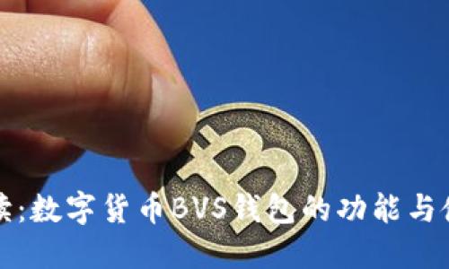 全面解读：数字货币BVS钱包的功能与使用指南