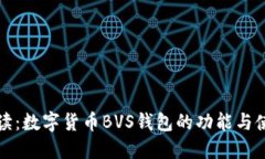 全面解读：数字货币BVS钱