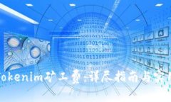 如何Tokenim矿工费：详尽指