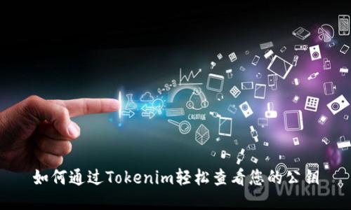 如何通过Tokenim轻松查看您的公钥