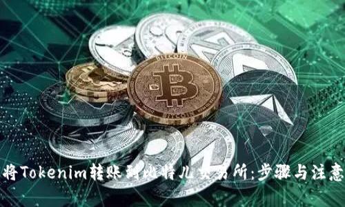 如何将Tokenim转账到比特儿交易所：步骤与注意事项