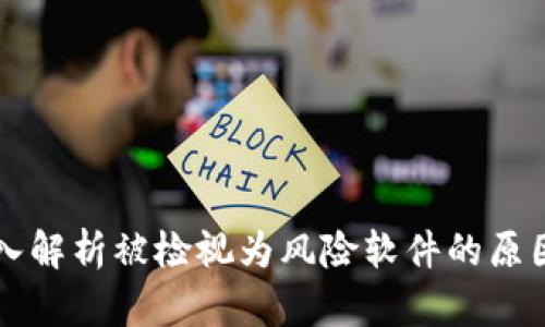 Tokenim：深入解析被检视为风险软件的原因与应对措施