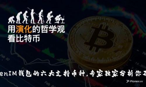 揭秘TokenTokenIM钱包的六大支持币种，专家独家分析你不可不知的秘诀