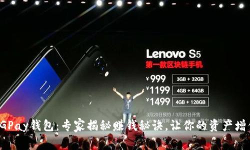 CGPay钱包：专家揭秘赚钱秘诀，让你的资产增值