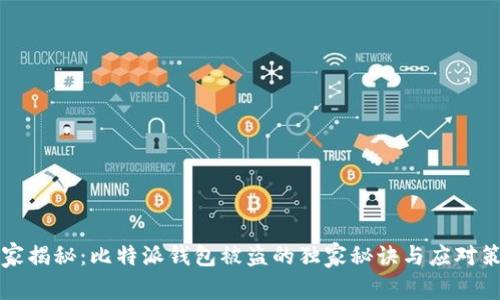 专家揭秘：比特派钱包被盗的独家秘诀与应对策略