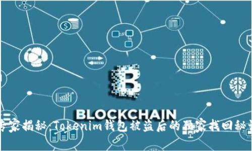 专家揭秘：Tokenim钱包被盗后的独家找回秘诀