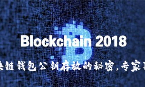 揭秘：区块链钱包公钥存放的秘密，专家独家分享！