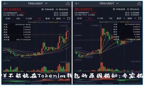 瑞波币（XRP）不能放在Tokenim钱包的原因揭秘：专家揭秘独家秘诀
