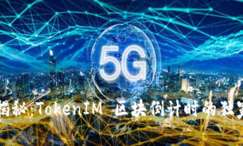 专家揭秘：TokenIM 区块倒计时的独家秘诀