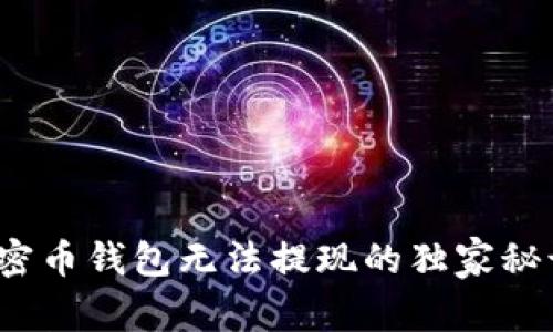 专家揭晓：加密币钱包无法提现的独家秘诀与解决方案
