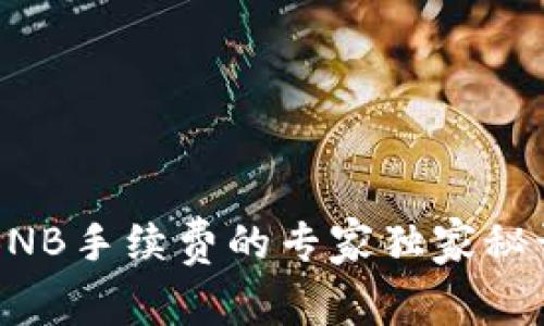 揭秘TokenIm BNB手续费的专家独家秘诀，助你省钱无忧