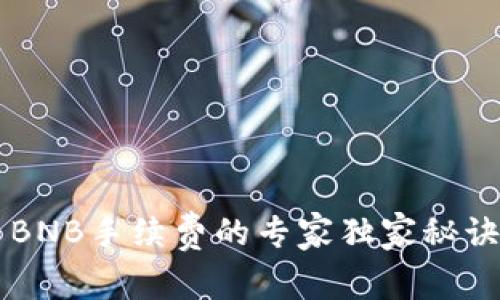 揭秘TokenIm BNB手续费的专家独家秘诀，助你省钱无忧