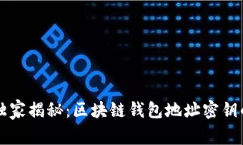专家独家揭秘：区块链钱包地址密钥的秘诀