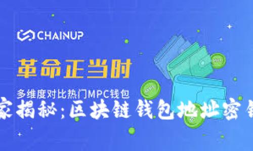 专家独家揭秘：区块链钱包地址密钥的秘诀